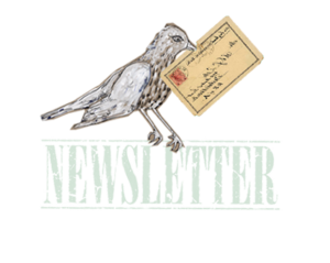 Newsletter abonnieren